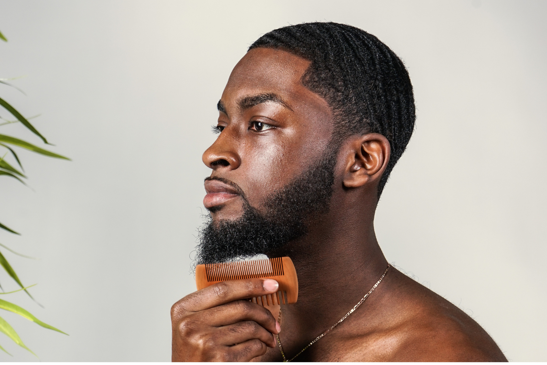 beard shampoo